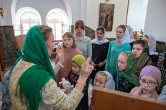 bor_1342