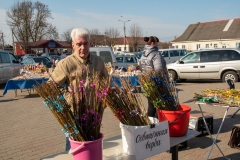 bor_1364