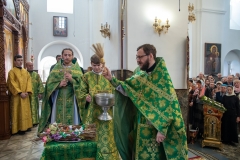 bor_1454