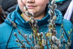 bor_1510