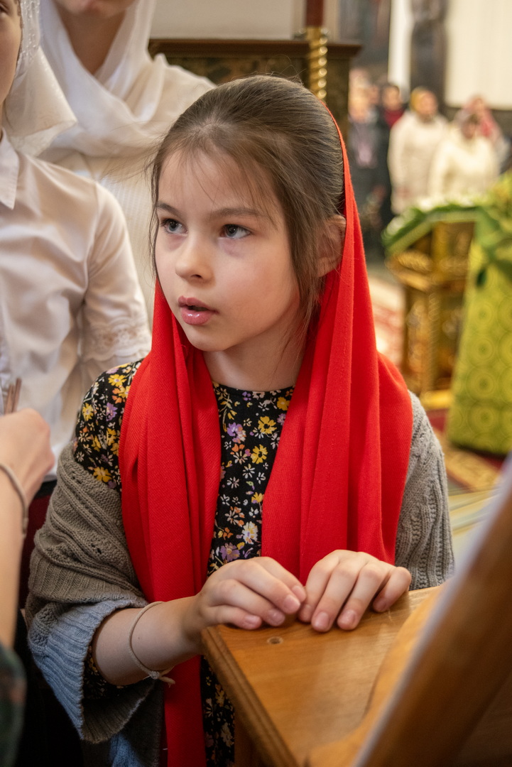bor_0283