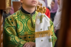 bor_0167