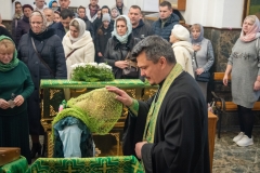 bor_0176