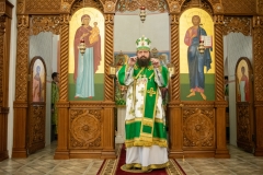 bor_0233
