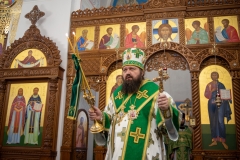 bor_0255