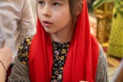 bor_0283