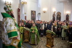 bor_0378