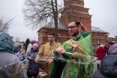 bor_0395