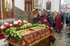 bor_1568