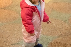 bor_7517