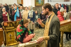 bor_9852