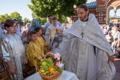 bor_9681