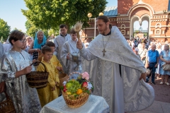 bor_9684