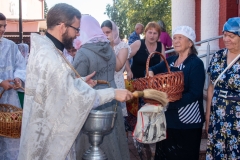 bor_9784