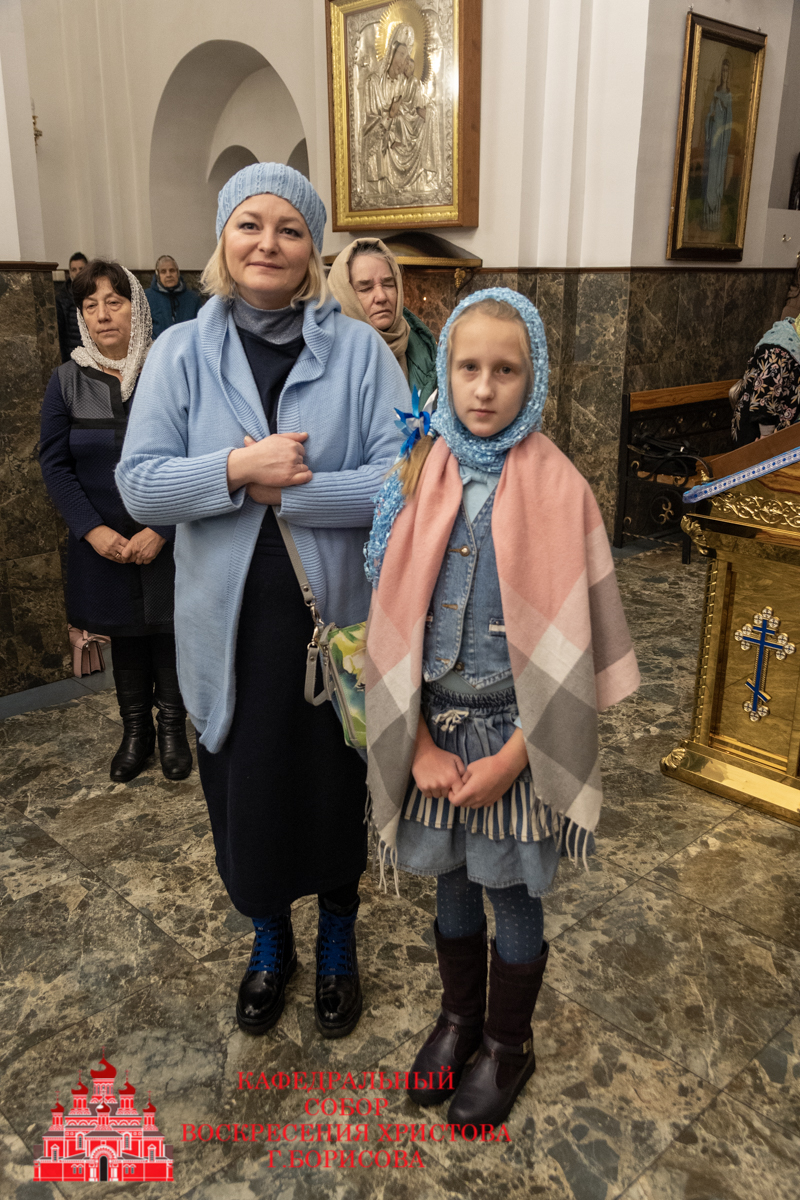 bor_4442