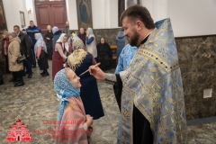 bor_4462