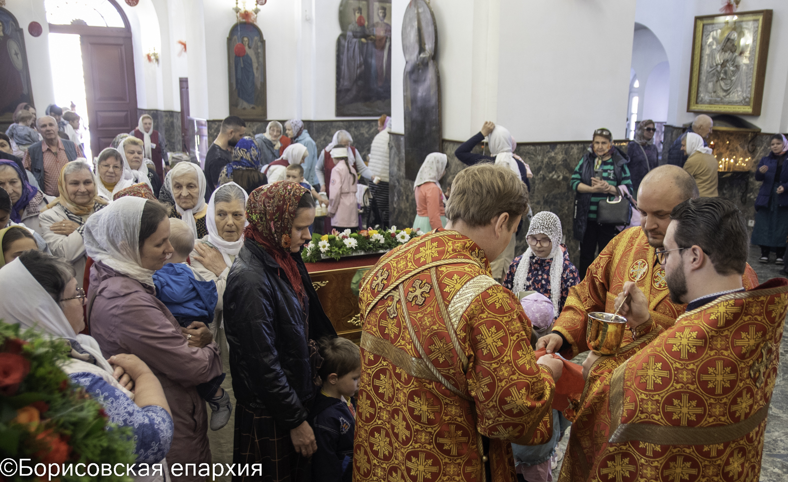 bor_8264