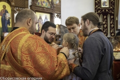 bor_8252