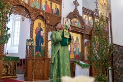 bor_7147