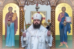 bor_6603