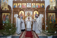 bor_6646